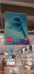 -美林美妆