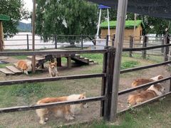 -长兴太湖图影湿地文化园