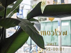 -留白咖啡(人民巷八号大院店)