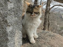 -天津盘山风景名胜区