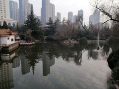 -西苑公园