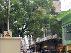 -溪岸路花鸟市场