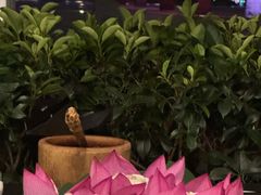 -汉水谣·江景餐厅(江滩店)