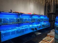 水产区-吉源大排档·鱼生·海鲜(烧烤彩印厂店)