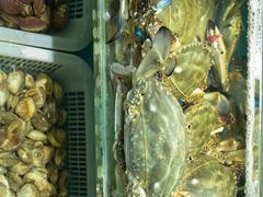 -港畔赶海蒸汽海鲜烧烤自助(仙螺岛店)