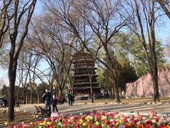 -北京世界公园