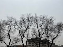 -西安城墙·碑林历史文化景区