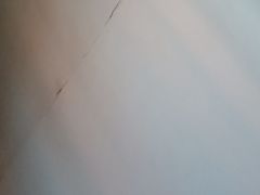 -巢爷老味(东方红店)