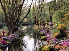 -共青国家森林公园-售票处