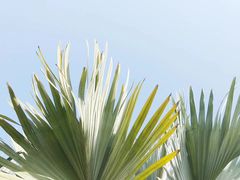 -视禾摄影培训(越秀区分部)