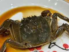 -红灯笼龙凤饭店(宁波老字号店)