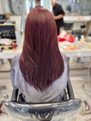 -镁连社·美联社