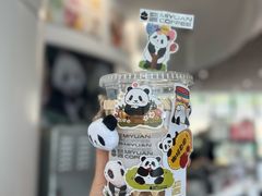 -成都大熊猫繁育研究基地
