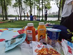 -南翔镇银翔湖公园