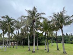 -深圳湾公园(南山区)