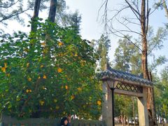 -玫瑰海岸文化旅游度假区