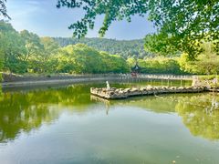 -九龙潭景区