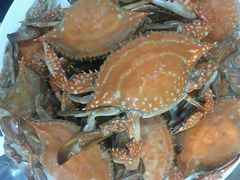 -海港酒店(海鲜美食城店)