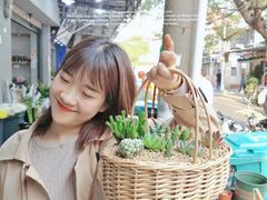 -溪岸路花鸟市场