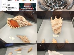 -天津古林古海岸遗迹博物馆