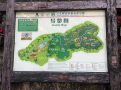 -西双版纳原始森林公园