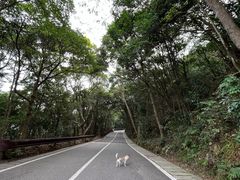 -梧桐山风景名胜区