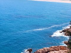 -广东惠东海龟国家级自然保护区