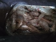 -毕家疃综合市场