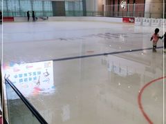 -冰纷万象滑冰场(二七万象城店)