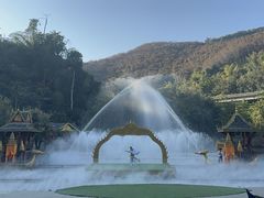 -西双版纳原始森林公园