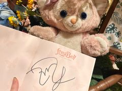 -小镇影院迪士尼小熊Duffy与他的朋友合影地