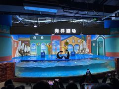 -重庆欢乐海底世界