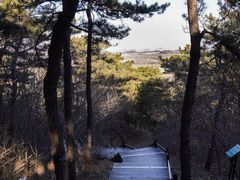 -北京西山国家森林公园