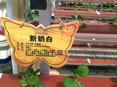 -北戴河集发农业梦想王国