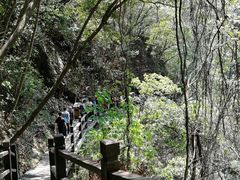 -祁门牯牛降观音堂风景区