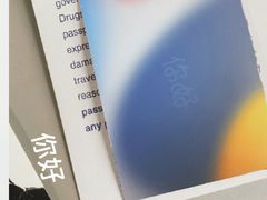 -Apple零售店(深圳益田假日广场店)