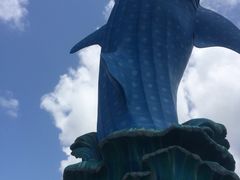 -广东省拱北口岸中国旅行社(华宾营业部)