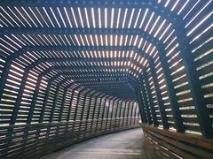 -昆山城市生态森林公园