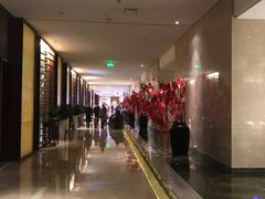 -常州环球恐龙城维景国际大酒店
