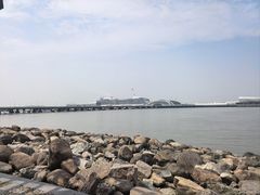 -吴淞炮台湾湿地森林公园烧烤区