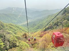 -王顺山国家森林公园