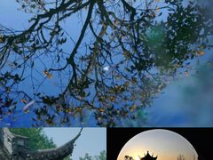 -西溪国家湿地公园