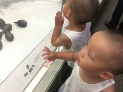 -遵义会议纪念馆