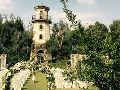 -上海东方佘山翰悦阁酒店·Vie全日制餐厅