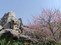 -绳金塔