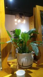 -明洞造型精品烫染