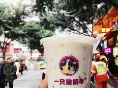 -一只酸奶牛(八一路店)
