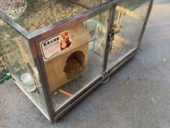 -青岛鑫江温德姆酒店