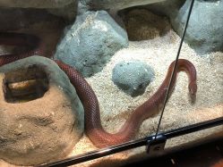 -酷嗒动物文化乐园(cutezoo西溪乐天城店)