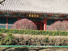 -海棠花溪(元大都城垣遗址公园)